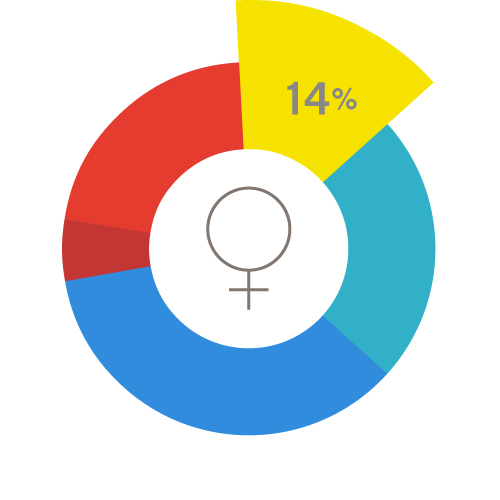 a pie chart representing all women of reproductive age, with a yellow 14% wedge emphased.