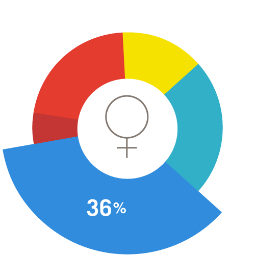 um gráfico circular que representa todas as mulheres em idade reprodutiva, com uma cunha de 36% de cornflower.