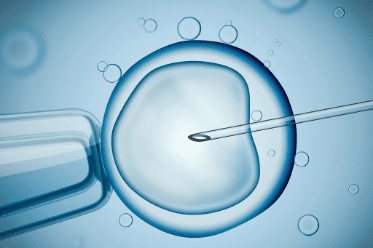  Infertility and Access to IVF in the U.S. 