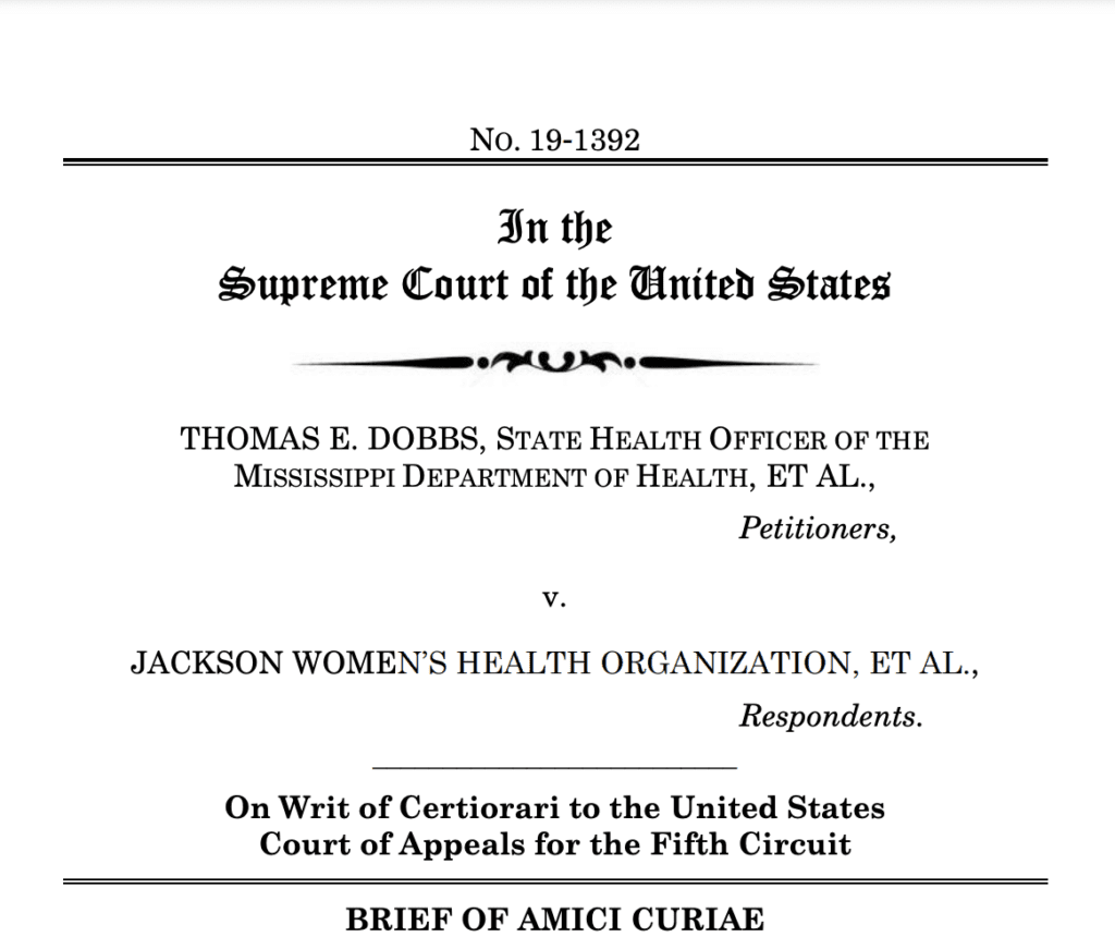 Amicus Briefs: Dobbs v. Jackson Women’s Health Organization