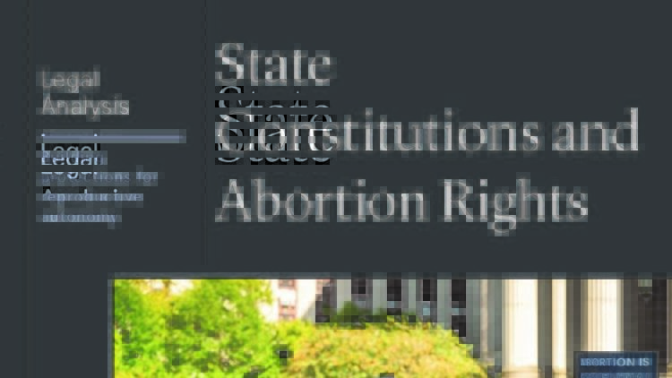 state constitution report--preview image