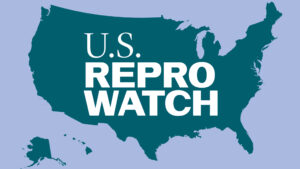 US Repro Watch logo