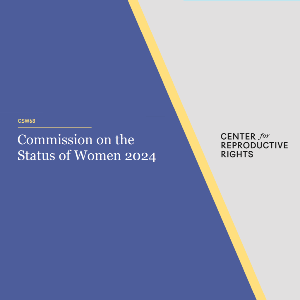 CSW 68: The Center at the UN Commission on the Status of Women