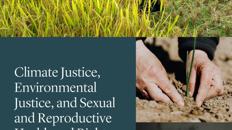 Cover of a publication titled "Climate Justice, Environmental Justice, and Sexual and Reproductive Health and Rights: International Legal and Policy Framework"