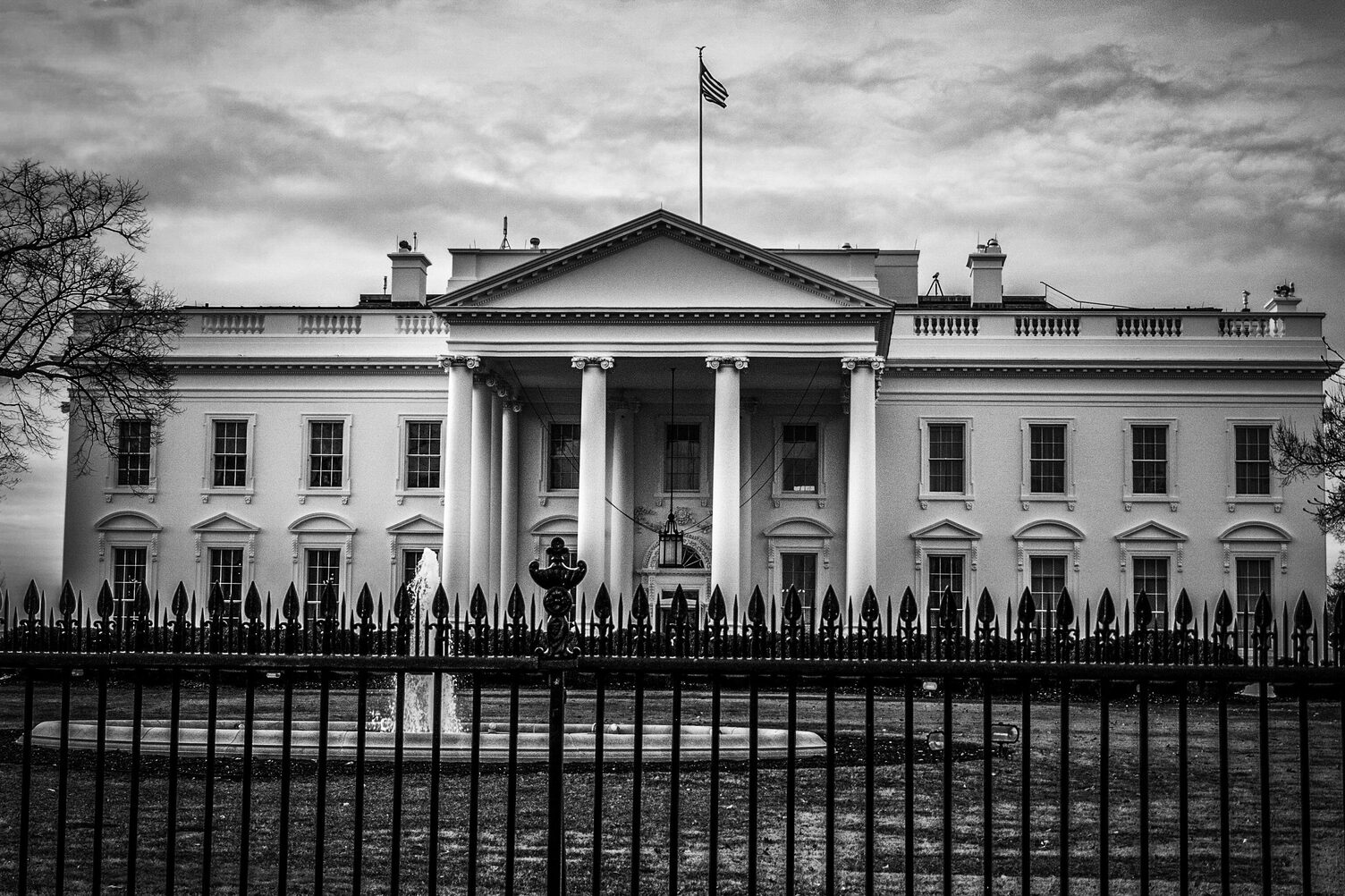 One Month of Trump 2.0: Amidst Chaos, Attacks on Reproductive Rights